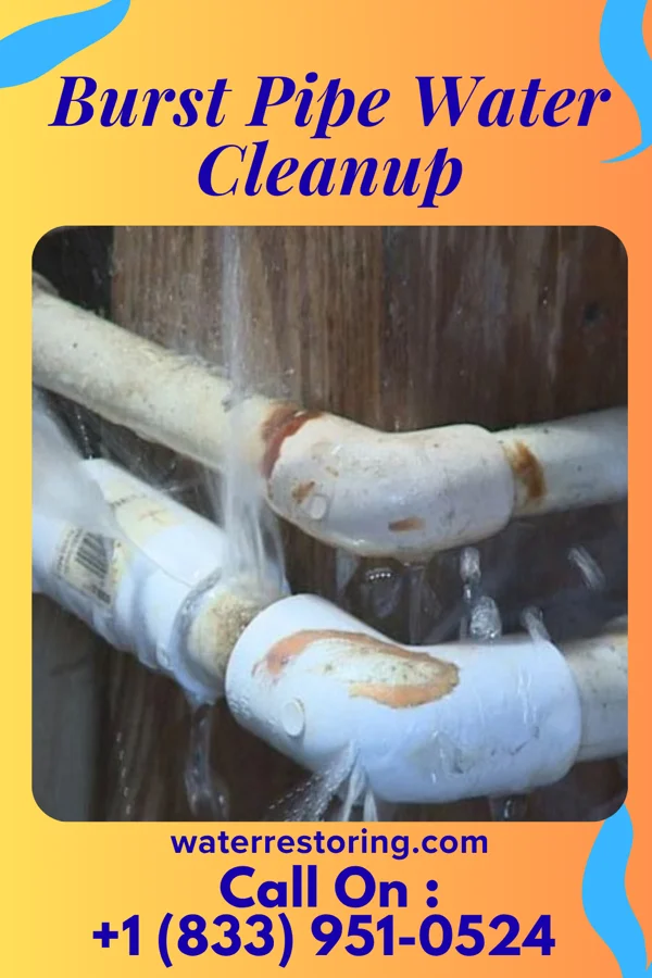 Burst Pipe Water Cleanup in Deer Creek, IN