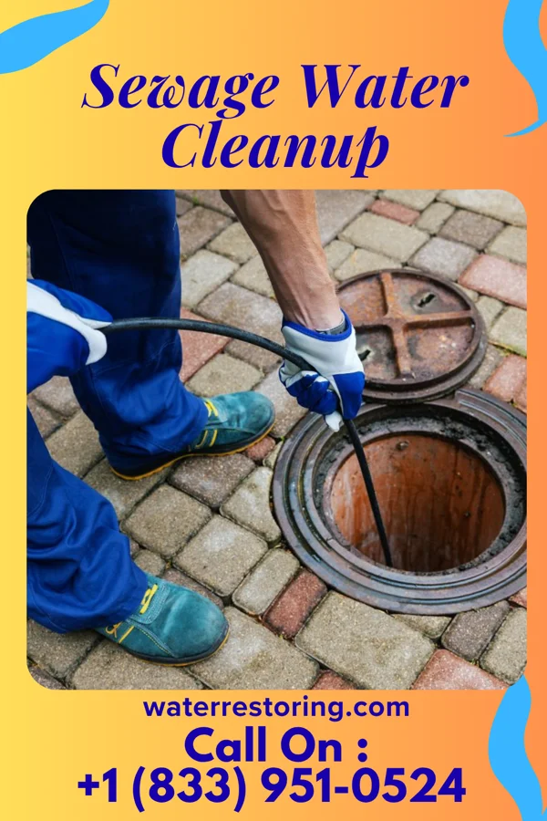 Sewage Water Cleanup in Deer Creek, IN